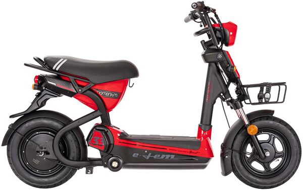 Xe điện Giant ELEM 133***